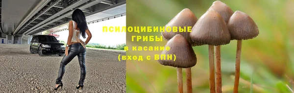 эйфоретик Алексеевка