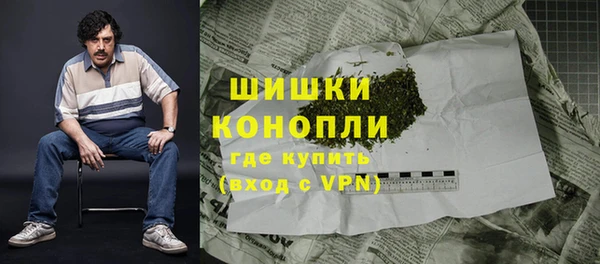 стаф Покачи