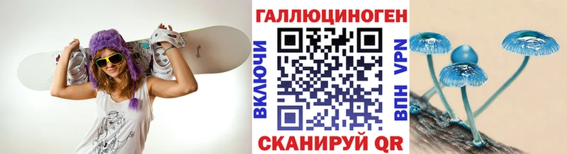 Галлюциногенные грибы прущие грибы  Заволжск 
